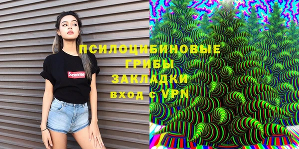 дурь Алексеевка