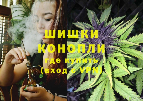 дурь Алексеевка