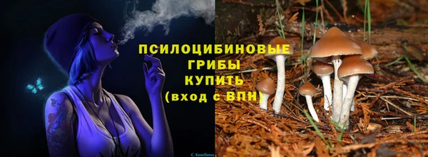 стафф Алзамай